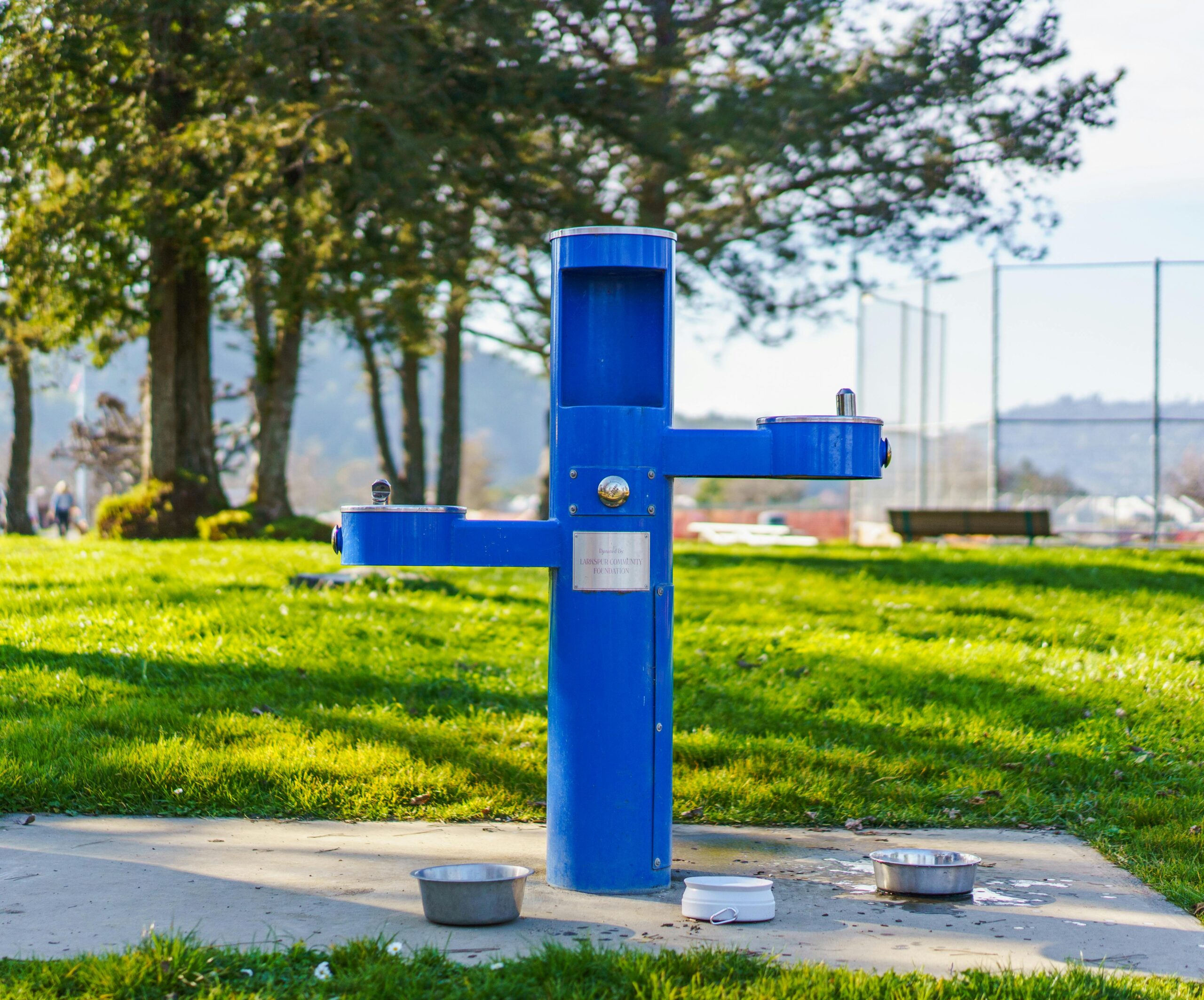 A vibrant blue public water fountain in a sunny park setting, ideal for outdoor relaxation.
